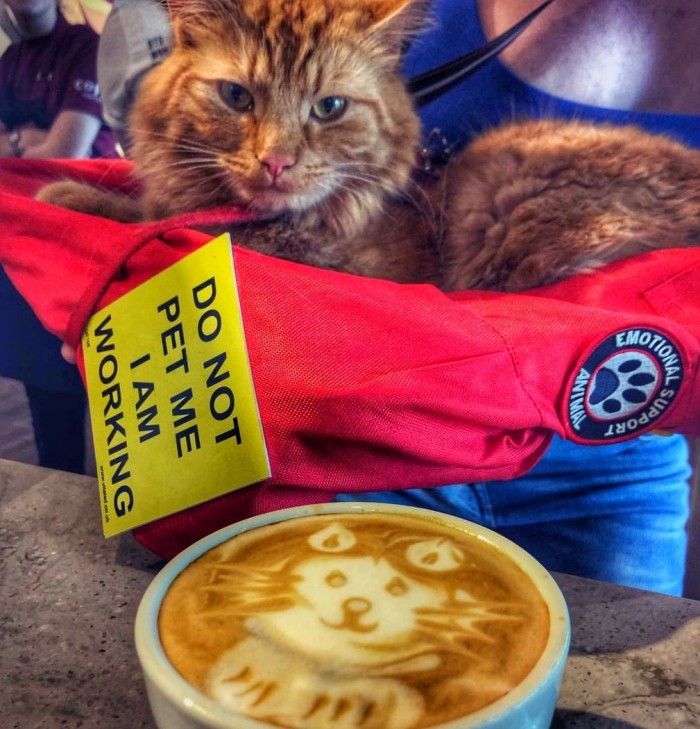 Little Ragnar inspired coffee art!
