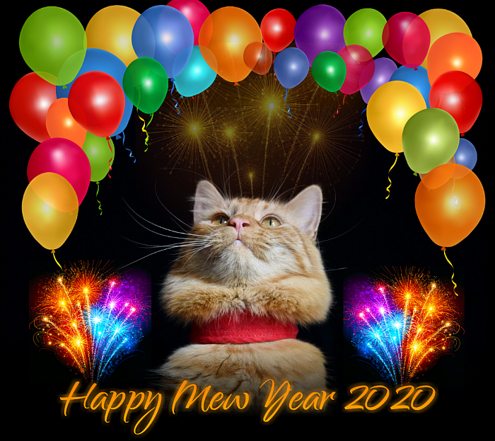 Happy Mew Year