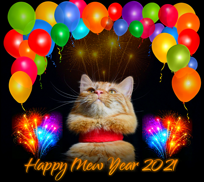 Happy Mew Year 2021