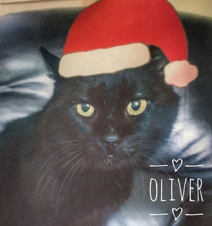 Oliver