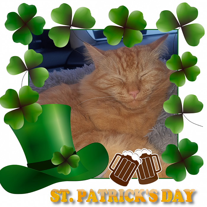 Little Ragnar would like to wish his fans a Happy St. Catrick's Day!
