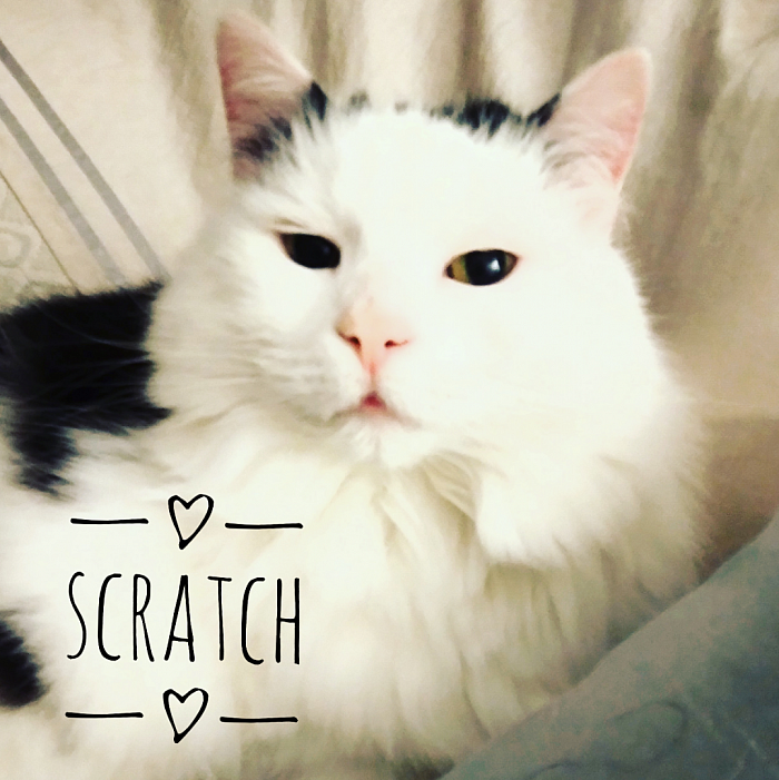 Scratch