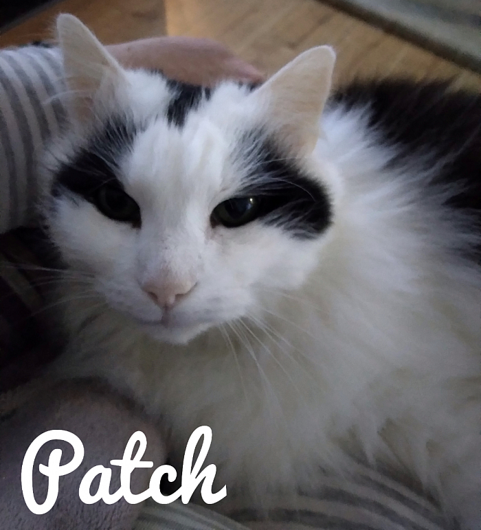 Patch