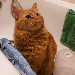 Ragnar bath