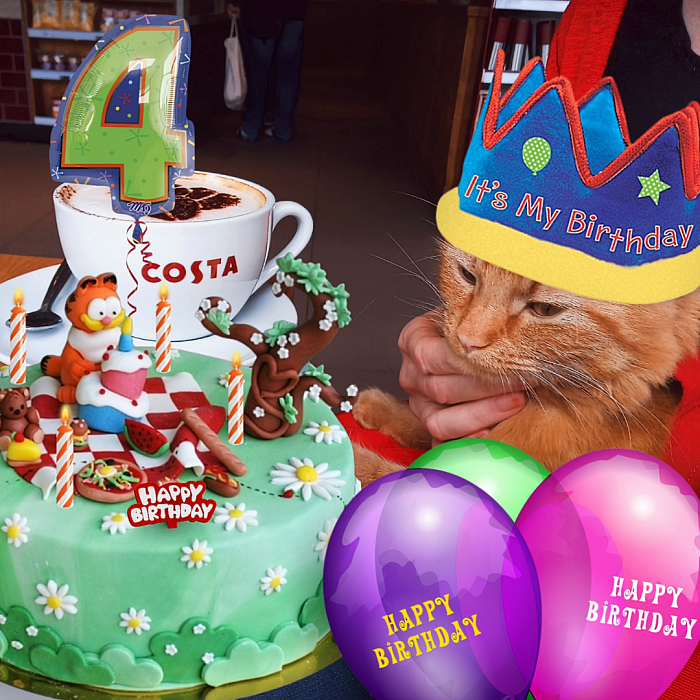 Little Ragnar celebrates his fourth birthday. 🎁😻