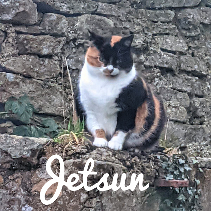 Jetsun