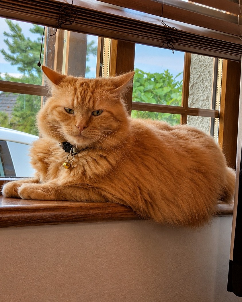 window