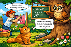 owlgebra